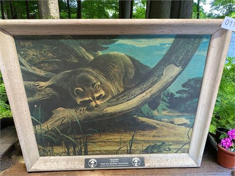 Seagram 7 Collection Bob Kuhn "Raccoon" Framed Canvas Print Ad