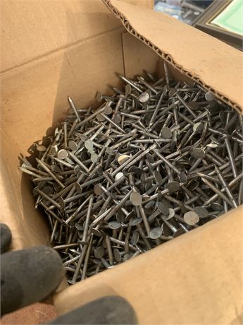 Box of Roofing Nails