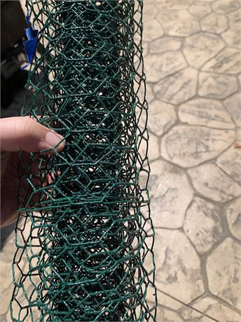 Green Chicken Wire Coupe Fencing