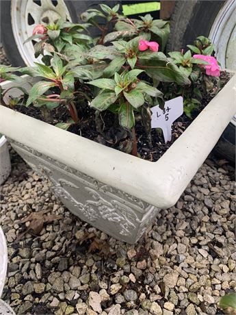 16" Square Plastic Pot Filled With Assorted Potted Annuals
