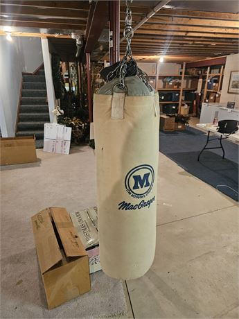 MacGregor Punching Bag & Gloves