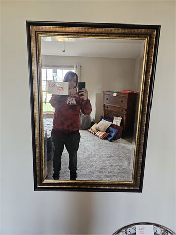 Accent Brush Frame Wall Mirror