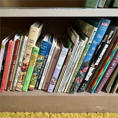 Nice Collection of Vintage Children's Books, Picture Books, Chapter Books, Etc.