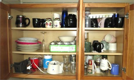 Kitchen Cabinet Cleanout