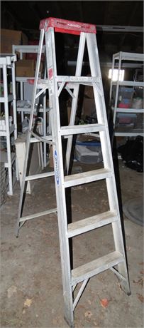 Werner Aluminum 6' Ladder
