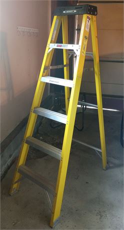Werner 6' Step Ladder