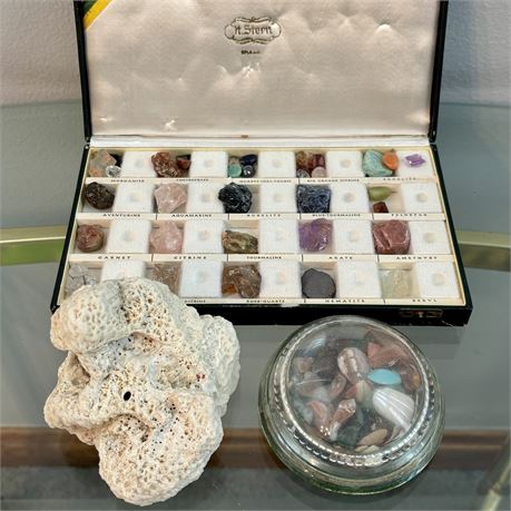 Vintage H. Stern Mineral Specimens, Dried Coral and Shell Filled Paperweight
