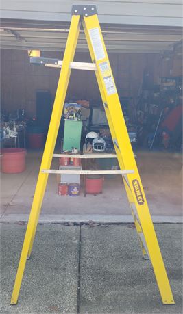 Stanley 7' Ladder