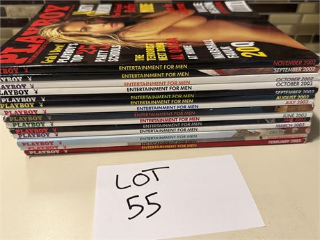 2002, 2003 Playboy Magazine Lot 14 Issues