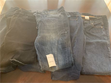 Ladies Jeans Lot - Size 10/30 Levi's 548, Rue 21, Maurice's, Love Culture & More