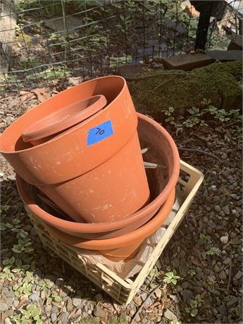 Plastic Flower and Plant Pot Set