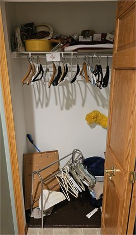 Closet Cleanout- Shoe Rack, Hangers, Cleaning Items, Rugs & More