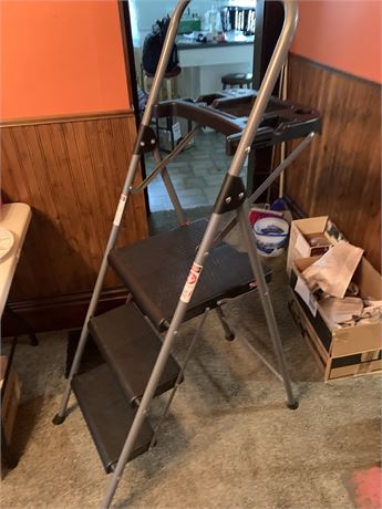 Werner Fold Up Portable Step Ladder