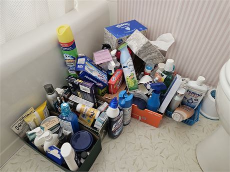 Bathroom Cleanout:Health & Beauty/Chemicals/Cleaners & More