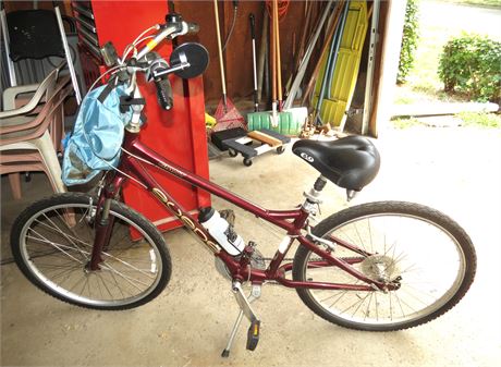 Giant Women's Bicycle