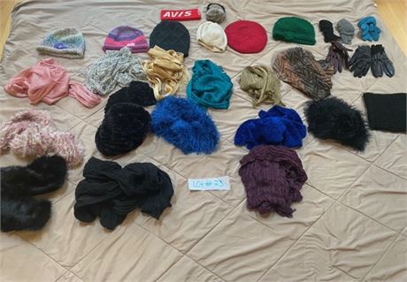 Women's Winter Hat, Gloves & Scarves Lot 6 hats, 6 gloves, 15 Scarves