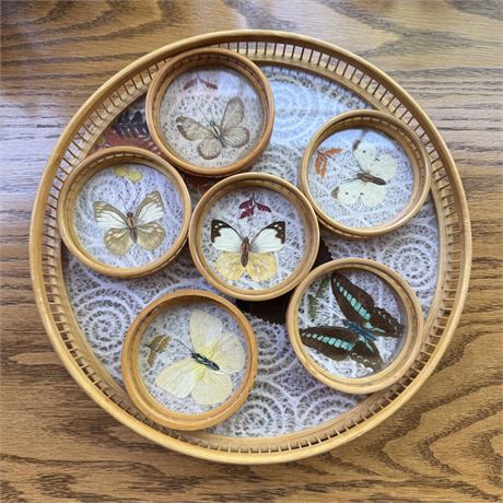 Vintage Bamboo Rattan BOHO Pressed Butterfly Tray and Coasters