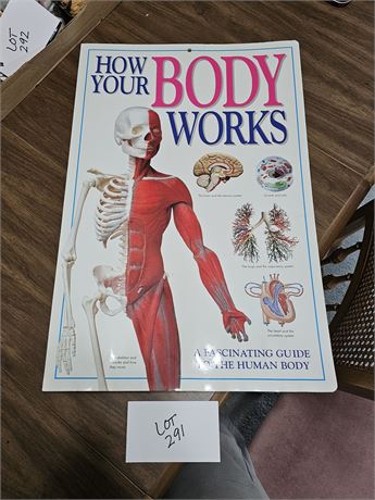 How Your Body Works- Guide To The Human Body