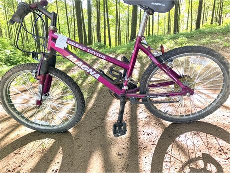 Ladys Berry Pink Magna Great Divide 18 Speed Mountain Bike