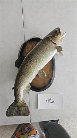 Taxidermy Rainbow Trout