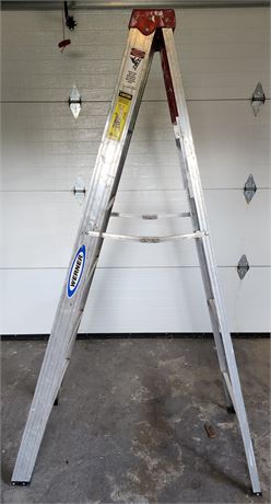 Werner 6ft Ladder