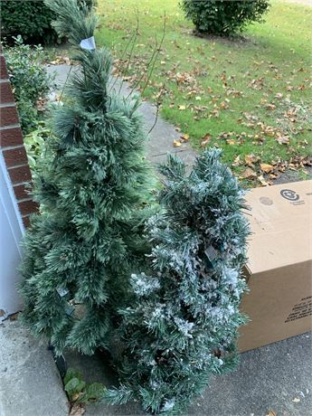 Two Christmas Trees