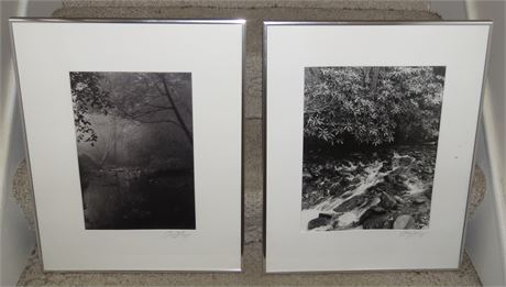 Framed Prints