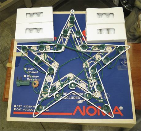 20 Light Outdoor Star