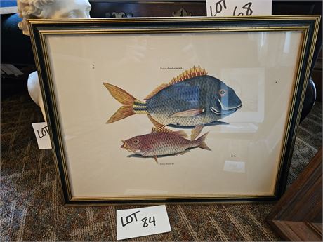 Vintage Fish Print