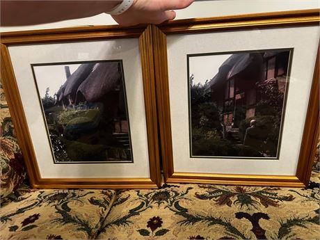 Two Framed Prints