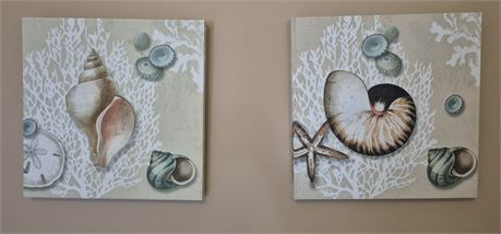 Seashell Canvases