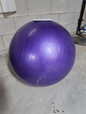 Large Purple Exercise Ball