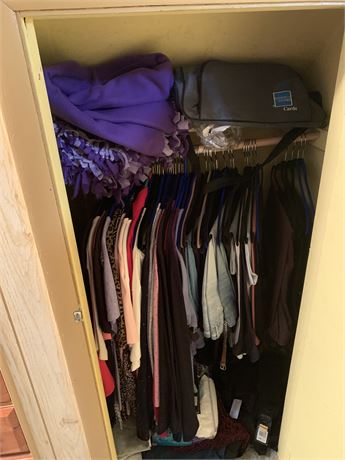 Women's Clothing Closet Clean Out - Plus Sizes