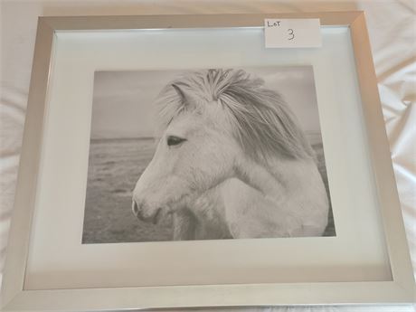 Black & White Photo Print: Horse On Beach