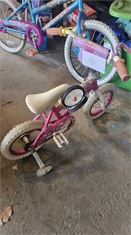 Rallye Youth Starter Bike W/Training Wheels