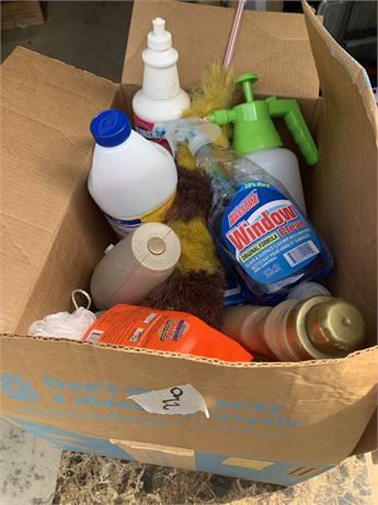 Household Cleaning Supplies & Chemicals Cleanout