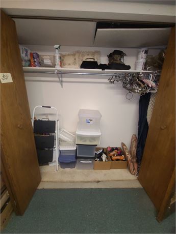 Closet Cleanout: Ladies Shoes/Umbrellas/Cleaners/Pillows/Step Ladder/Storage