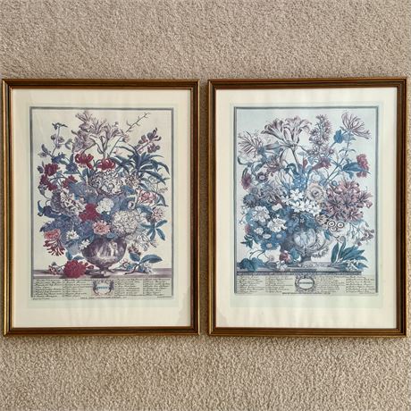 Pair of Vintage Framed Botanical Prints - 16.25 x 21.25"