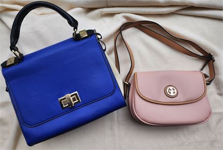 2-Gianni Bini Purses