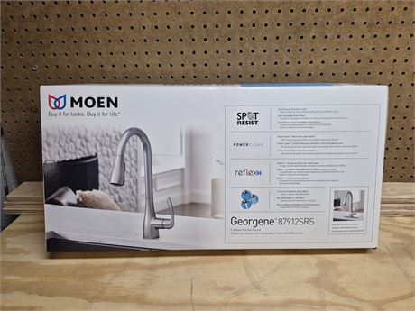 Moen Faucet