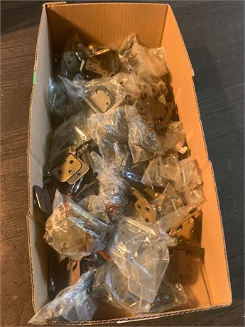 Assorted Metal Door & Cabinet Hinge Hardware Lot
