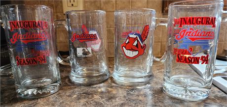 Vintage Indians Glassware