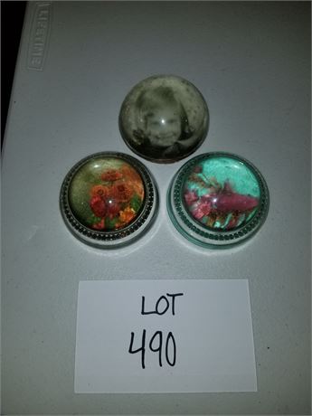 Vintage Magnified Paper Weights