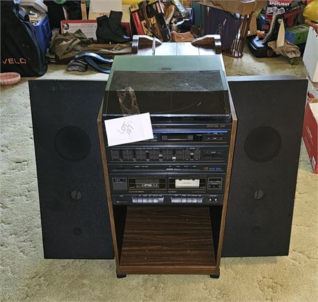 Realistic Stereo System