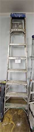 Werner 8 Ft Ladder