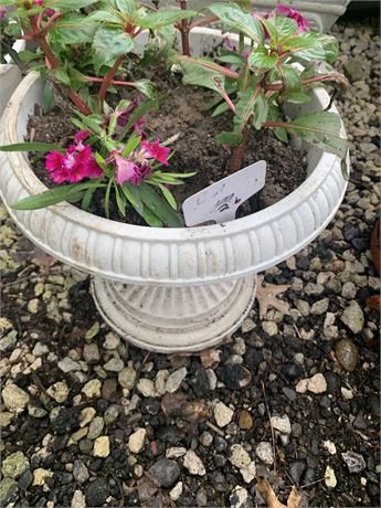 Plastic Round Pedestal Pot Filled With Assorted Potted Annuals