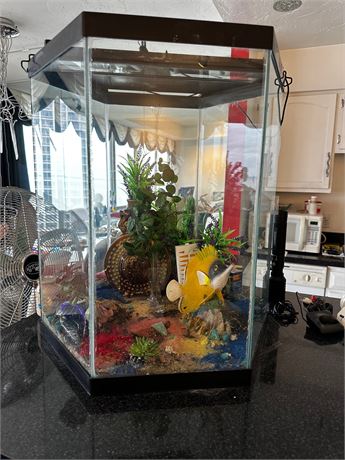 Hexagonal Fish Tank with Items