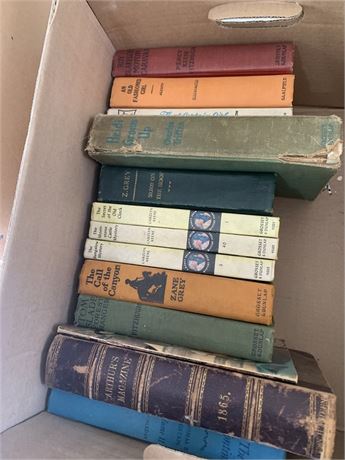 Antique Book Lot - Arthur's Magazine From 1865 & Other Mystery Novels