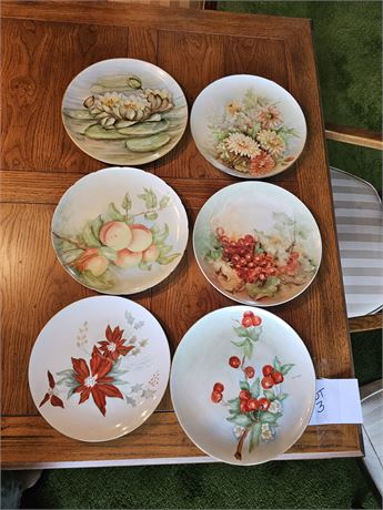 Vintage Collection of Hand Painted Plates - Mixed Themes & Colors