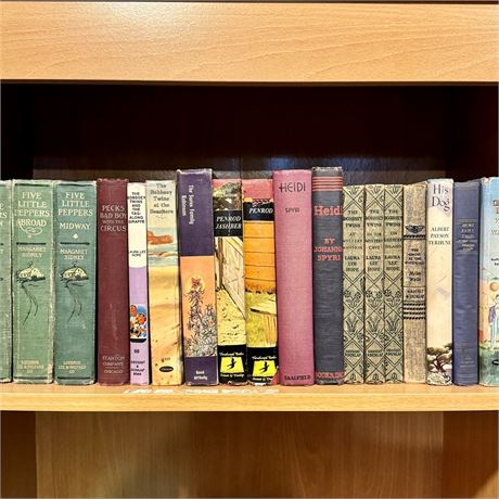 Single Shelf Vintage Chapter Books Cleanout